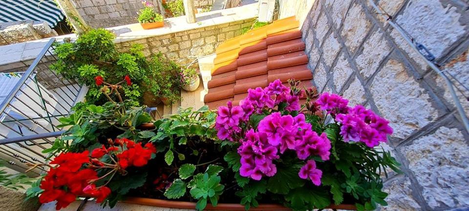 Bed & Breakfast Dionis Vis Exterior foto